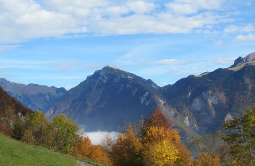 mountain landscape foliage