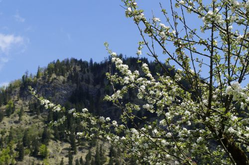 mountains allgäu alpine