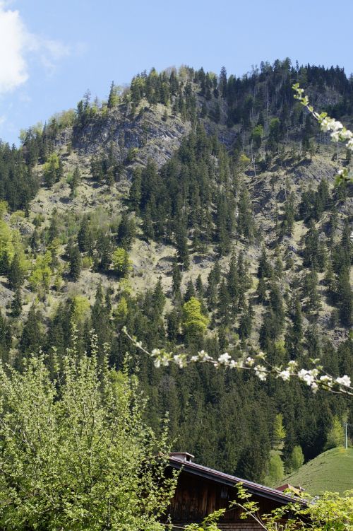 mountain allgäu alpine