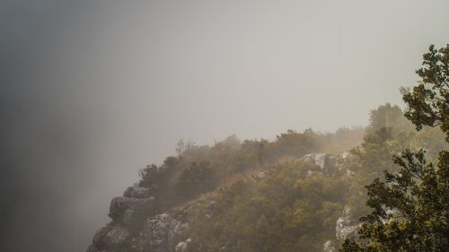 mountain mist fog