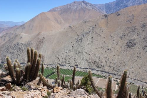 mountain chile elqui