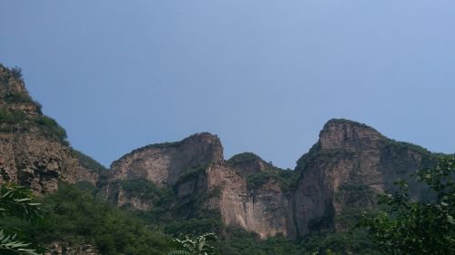 mountain beijing tree