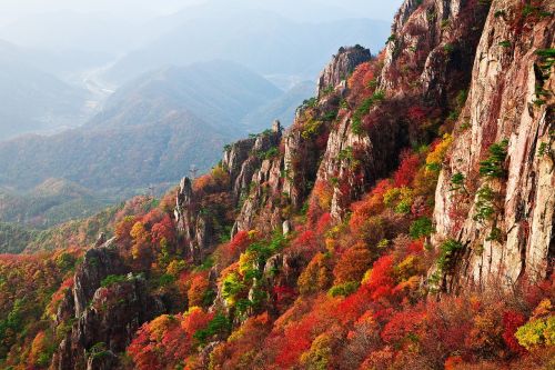 mountain autumn leaves autumn