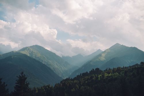 mountain mountains forest