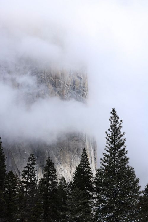 mountain cliff fogg