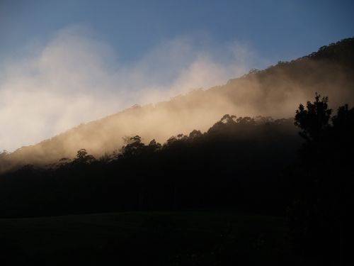 mountain fog morning