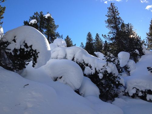 mountain holiday winter