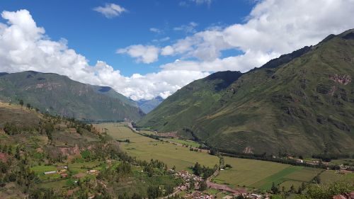 mountain green inca