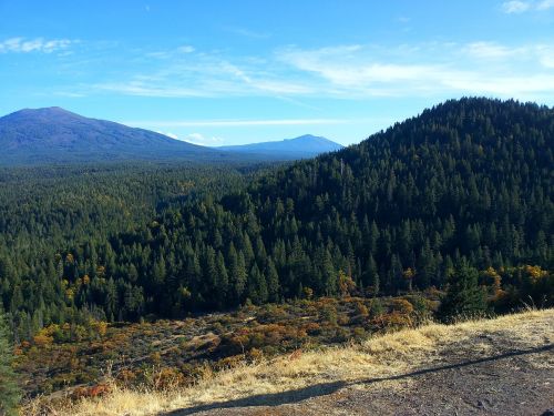 mountain trees scenic