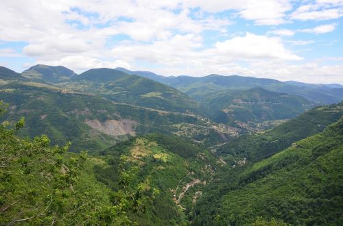 mountain forest nature