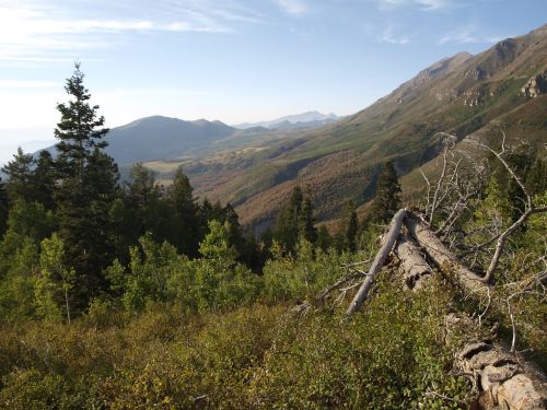 mountain sky trees