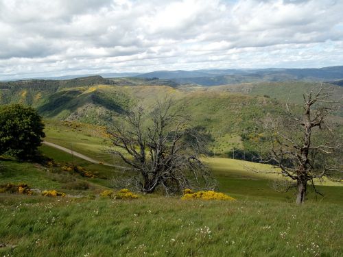 mountain cévennes nature