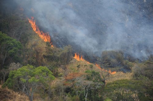 mountain fire disaster