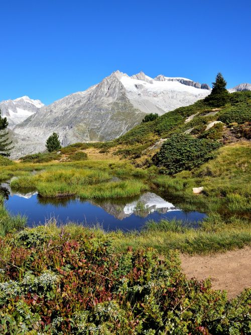 mountain pond landscape