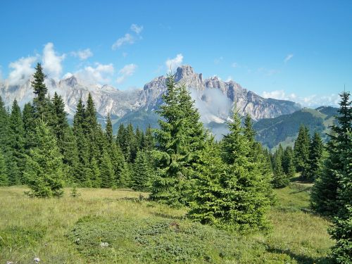 mountain nature prato