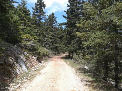 mountain trail dirt road