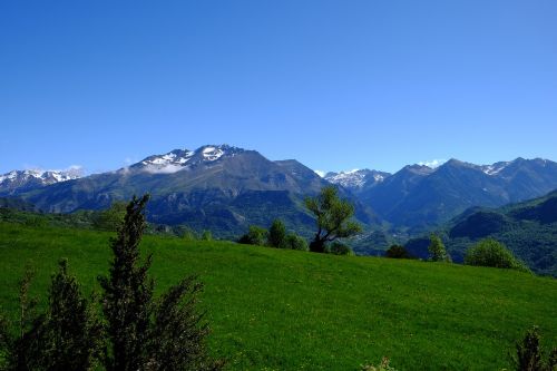 mountain pyrenees green