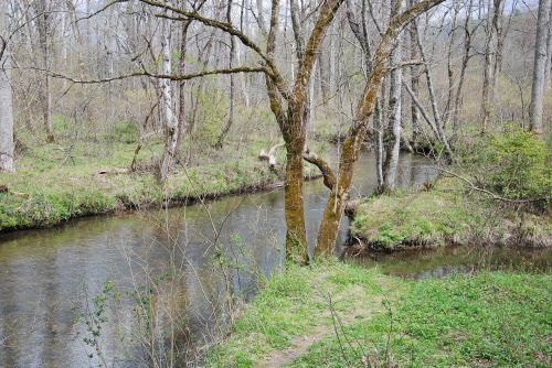 mountain stream river