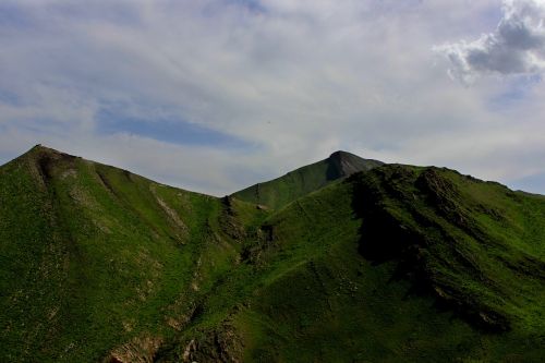 mountain green grass