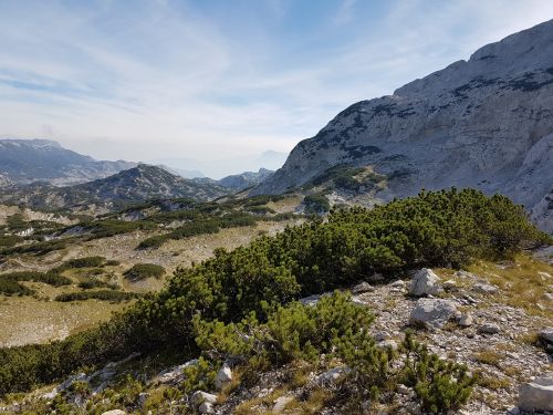 mountain hill landscape