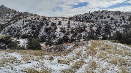 mountain forest hiking