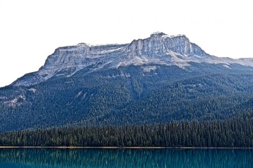 mountain forest nature