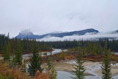 mountain wilderness mist