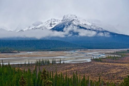 mountain wilderness mist