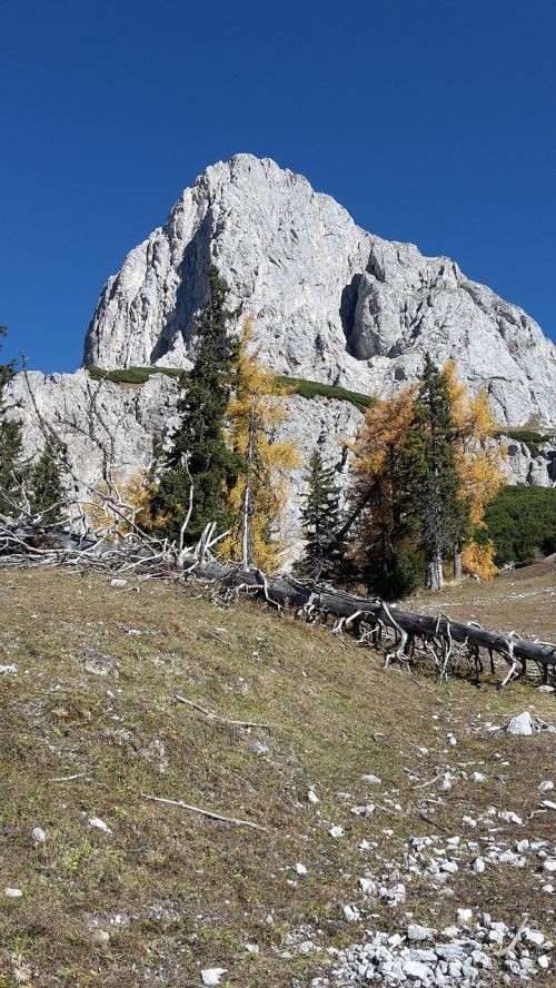 mountain autumn alpine