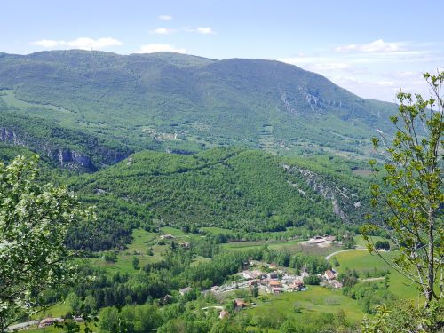 mountain forest landscape