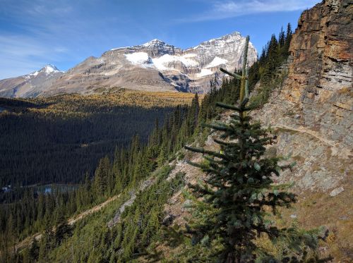 mountain mountains alberta