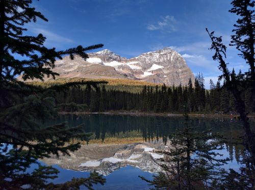 mountain mountains alberta