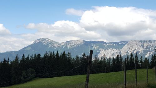 mountain meadow alm