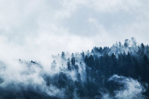 mountain woods cloud