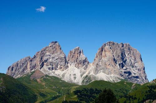 mountain fir nature