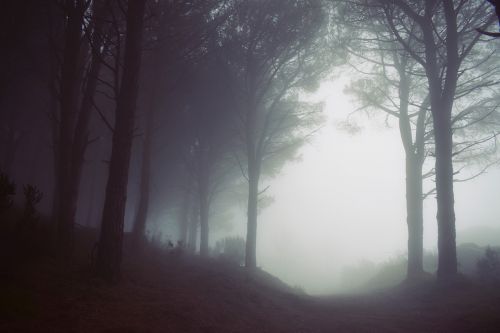 mountain highland foggy
