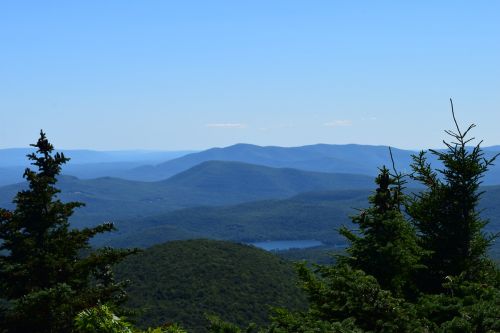 mountain view trees