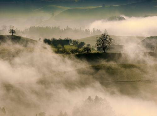 mountain highland trees