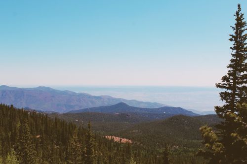 mountain trees nature