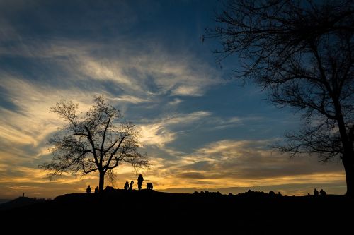 mountain landscape tree