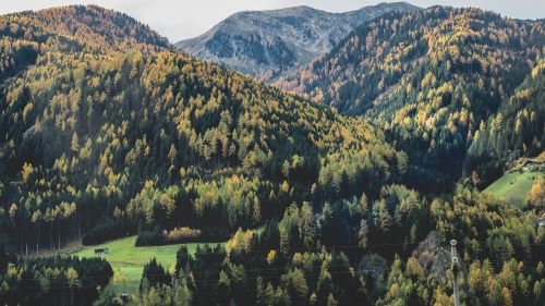 mountain highland trees