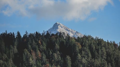 mountain highland trees