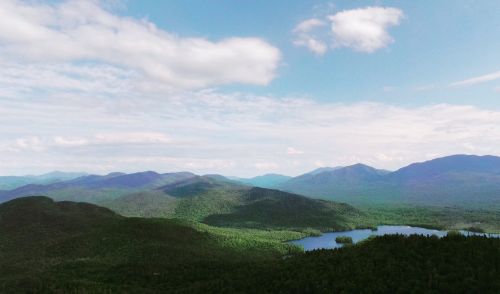 mountain highland trees