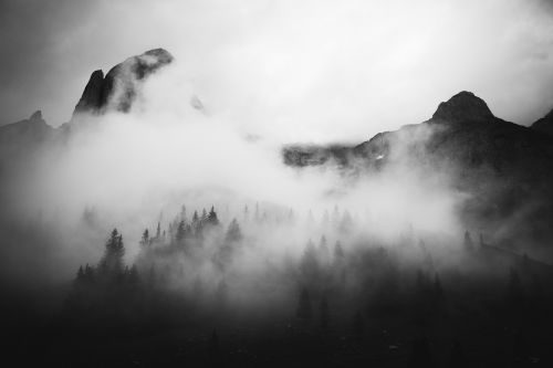 mountain forest trees