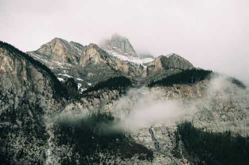 mountain valley trees