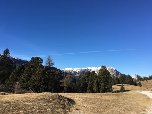 mountain sky tree