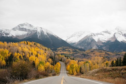 mountain landscape forest