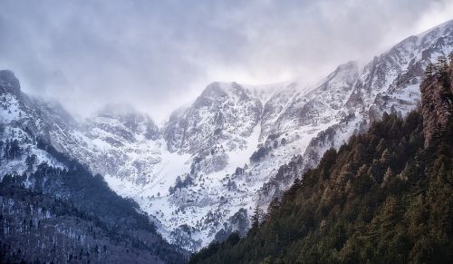 mountain snow trees