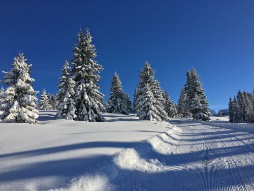 mountain snow nature