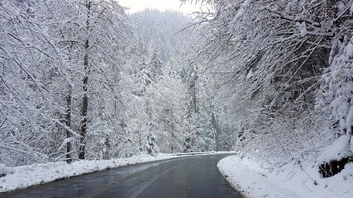 mountain road winter